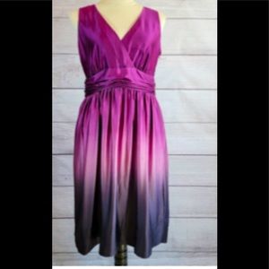 Silk knee length ombré DKNYC dress